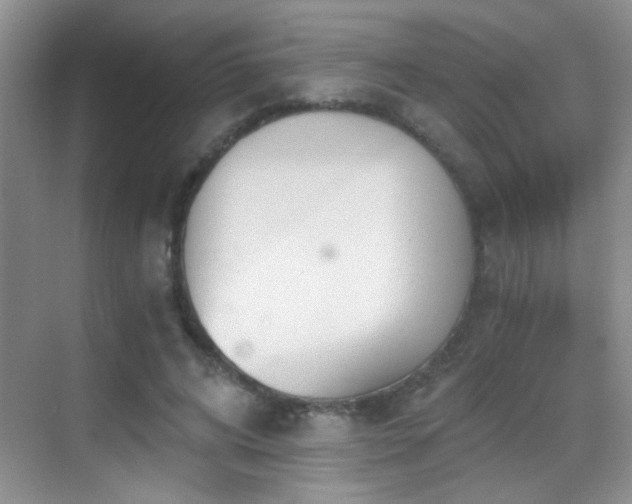 X0000069830592200605191142