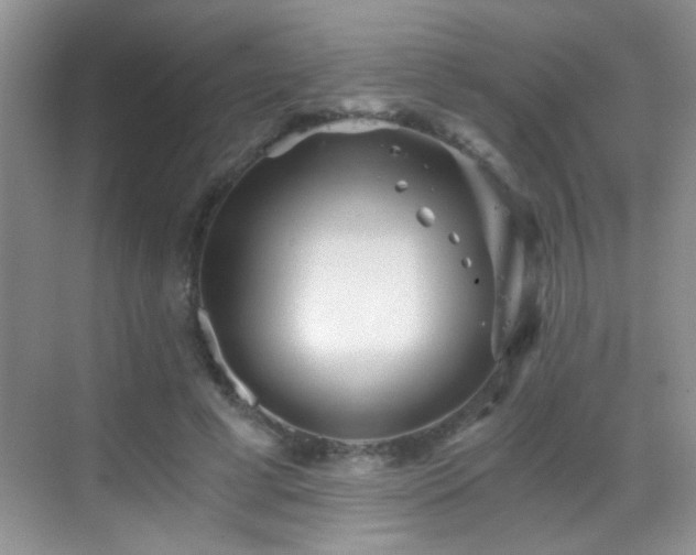 X0000069830593200605191142