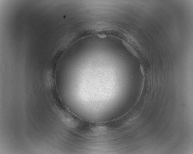 X0000069830594200605191142