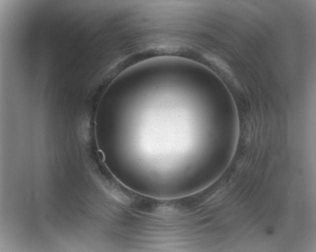 X0000069830596200605191142