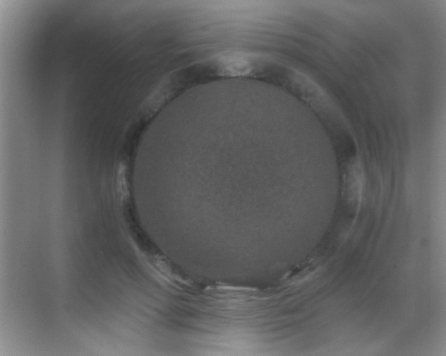 X0000069830598200605191142