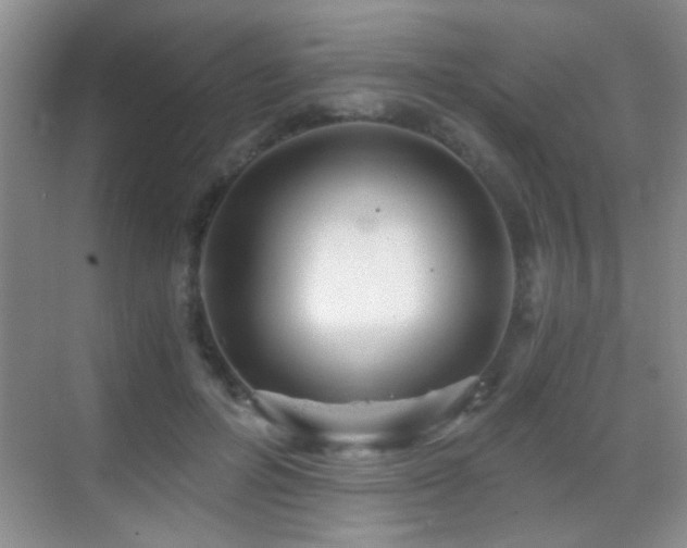 X0000069830600200605191142