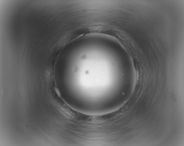 X0000069830601200605191142