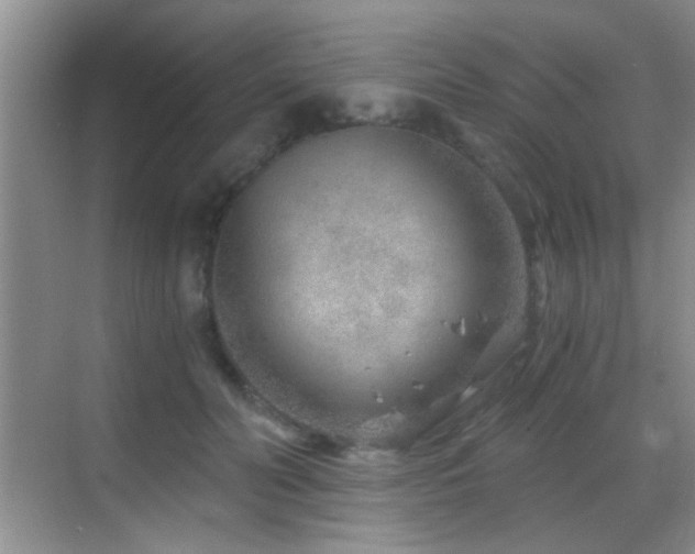 X0000069830606200605191141