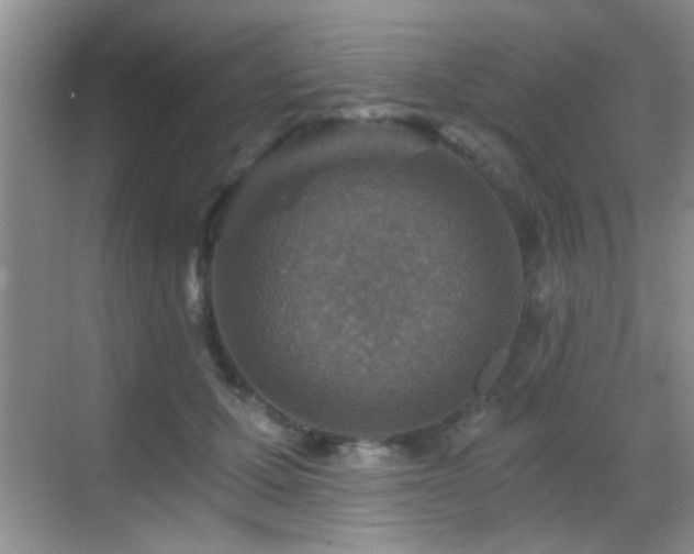 X0000069830607200605191141