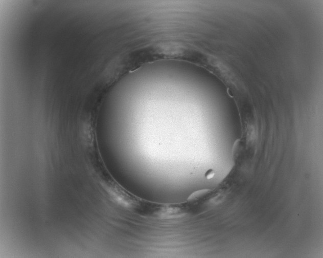 X0000069830609200605191141