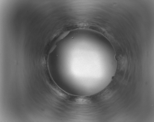 X0000069830614200605191141