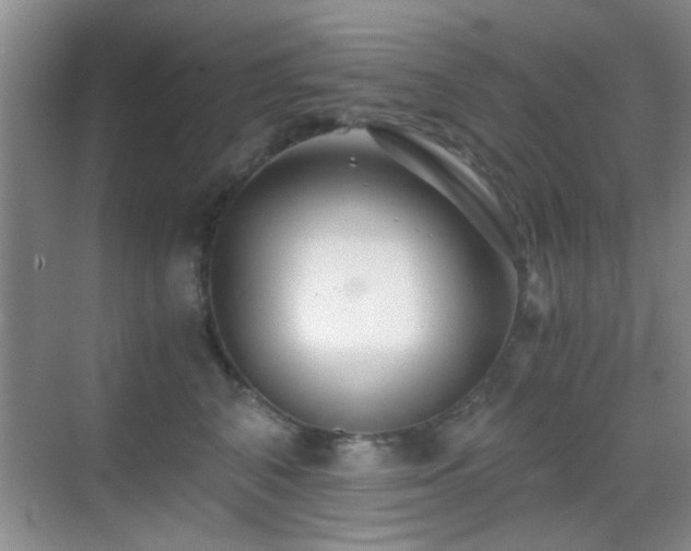 X0000069830616200605191141