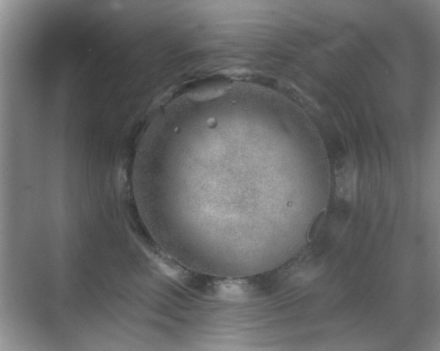 X0000069830618200605191141