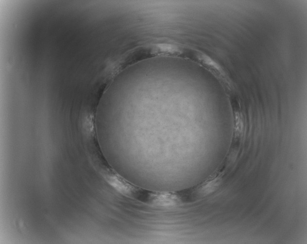 X0000069830621200605191141