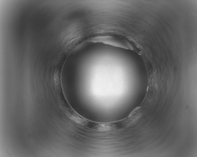 X0000069830623200605191141