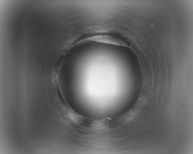 X0000069830624200605191141