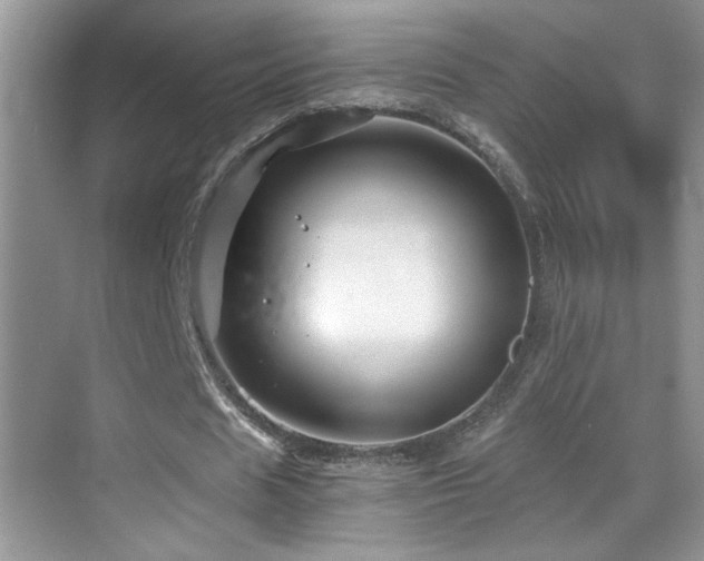 X0000069830625200605191140