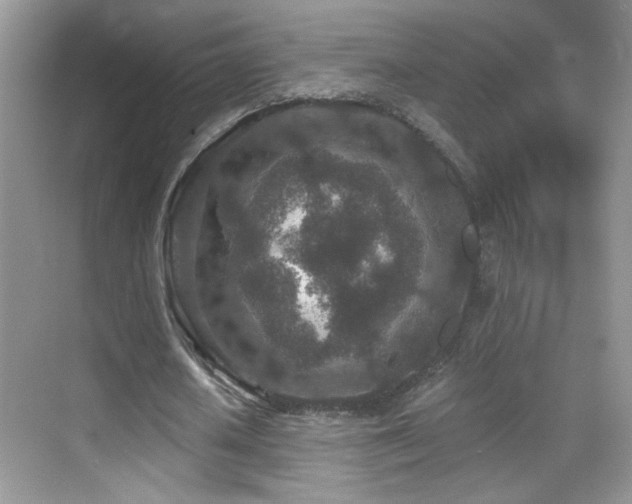 X0000069830626200605191140