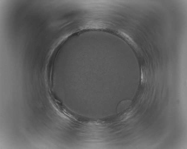 X0000069830627200605191140