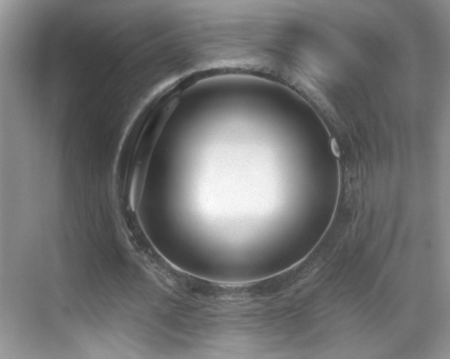 X0000069830628200605191140