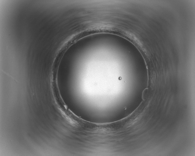 X0000069830629200605191140