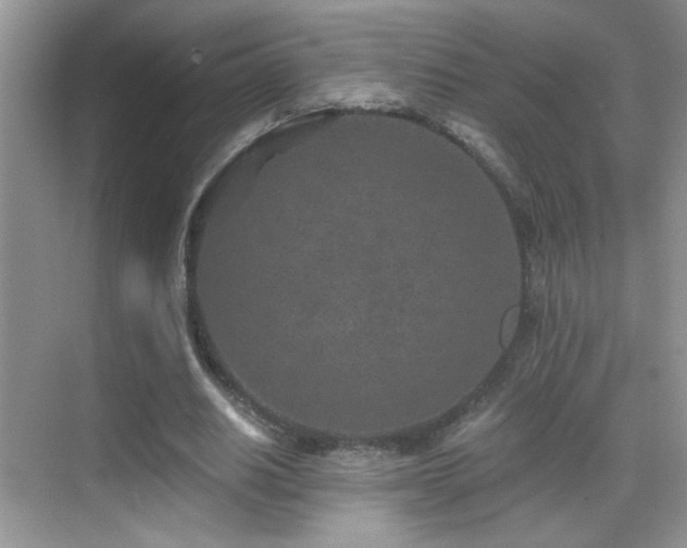 X0000069830630200605191140