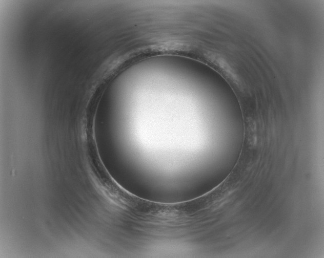 X0000069830631200605191140