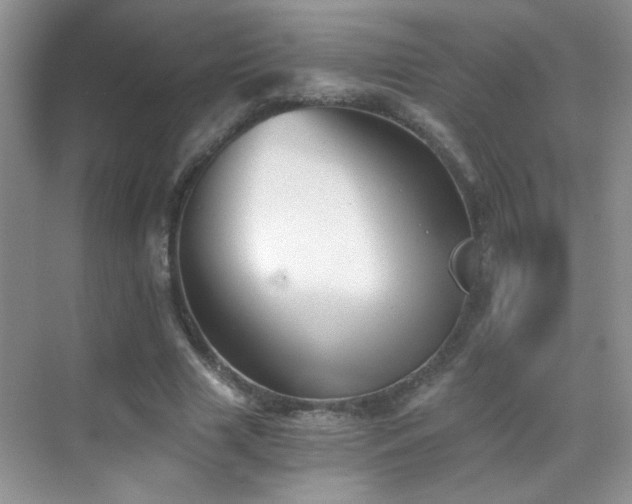 X0000069830633200605191140