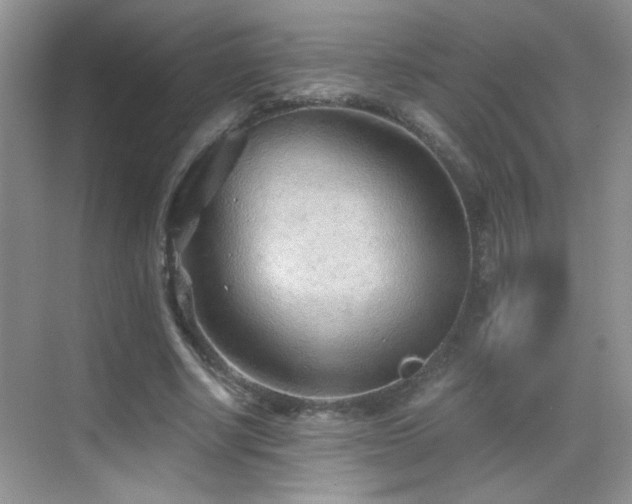 X0000069830634200605191141