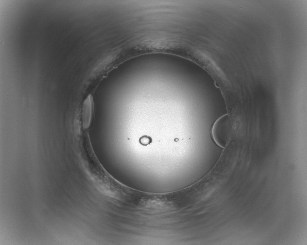 X0000069830635200605191141