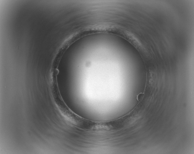 X0000069830636200605191141