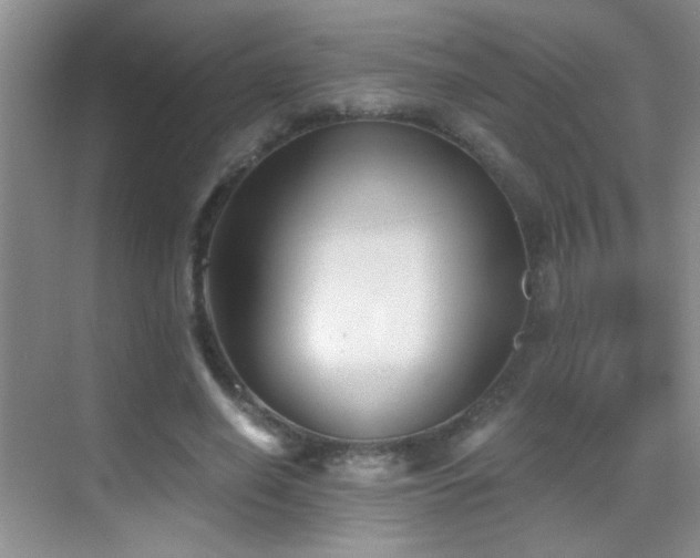 X0000069830638200605191141