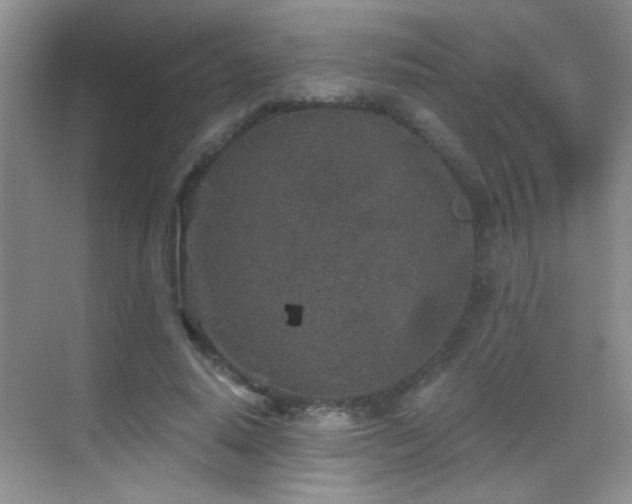 X0000069830640200605191141