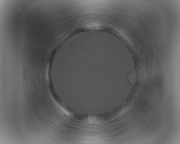 X0000069830641200605191141