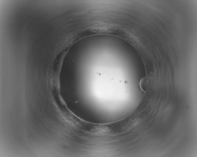 X0000069830642200605191141