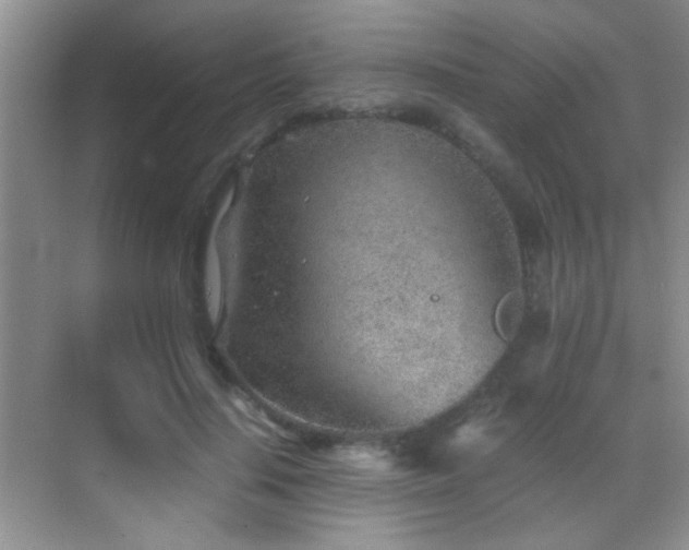 X0000069830644200605191141