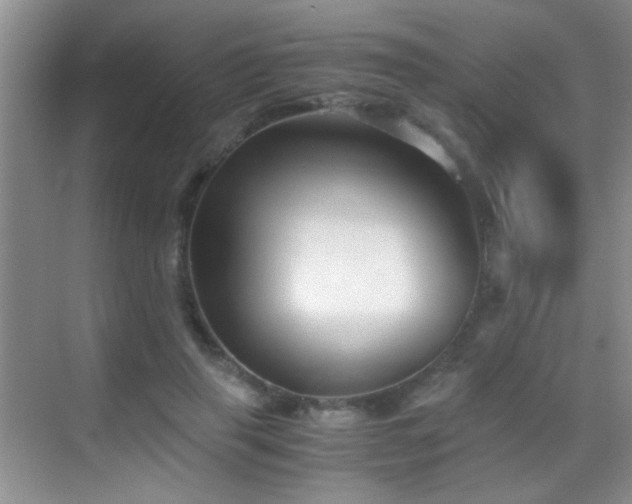 X0000069830645200605191141