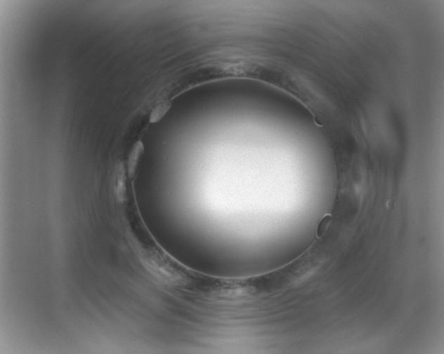 X0000069830646200605191141