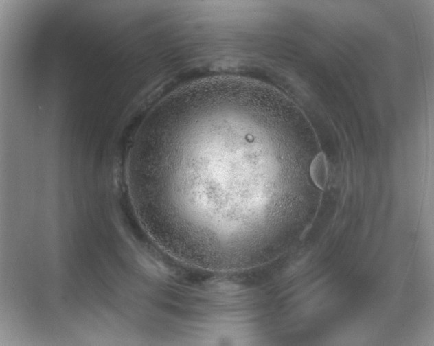 X0000069830648200605191141