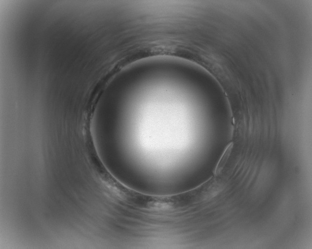 X0000069830649200605191141