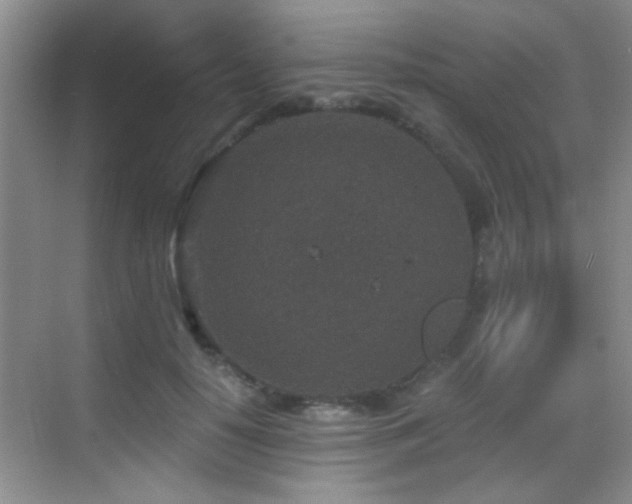 X0000069830650200605191141