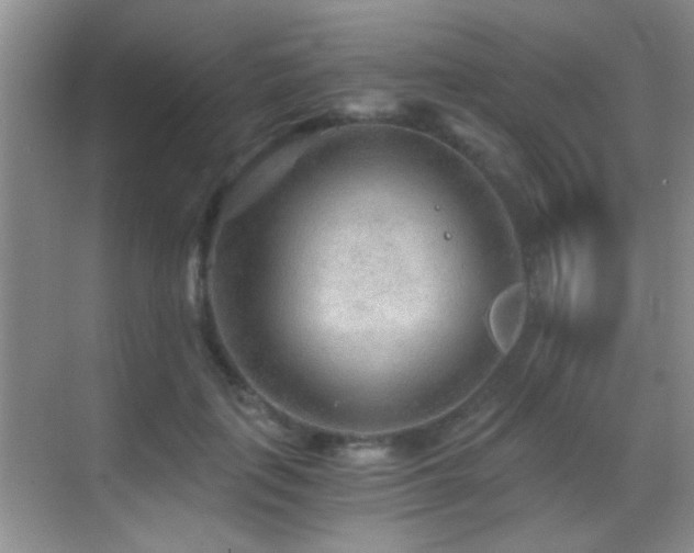 X0000069830651200605191141