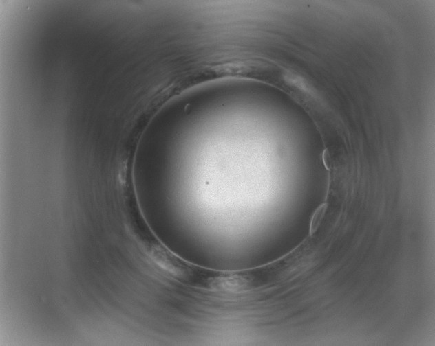 X0000069830652200605191141