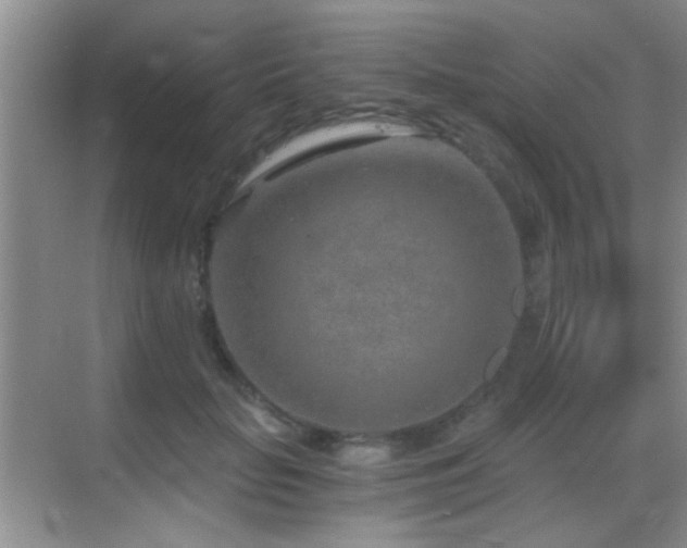 X0000069830653200605191141