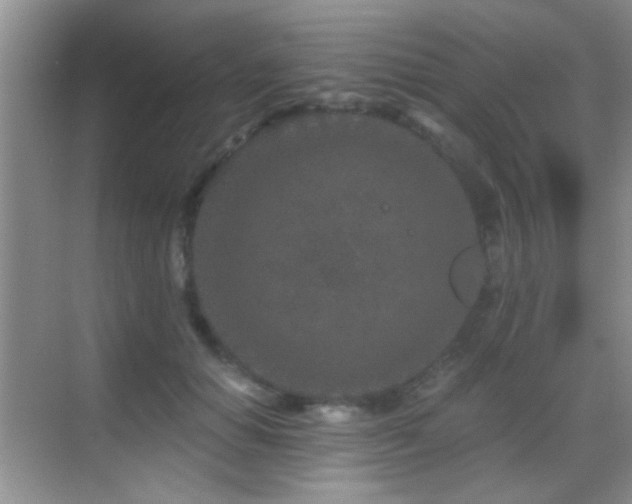 X0000069830654200605191141