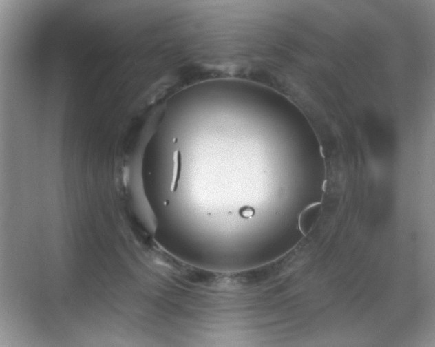 X0000069830656200605191141