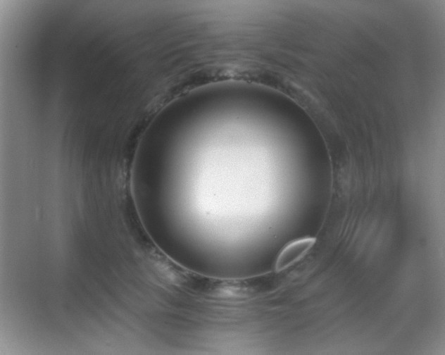 X0000069830657200605191141