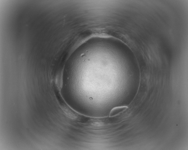 X0000069830658200605191141