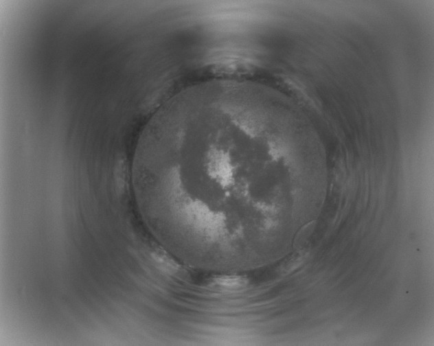 X0000069830659200605191141