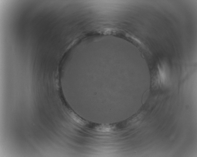 X0000069830661200605191141