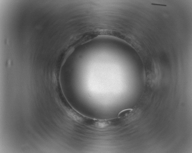 X0000069830662200605191141