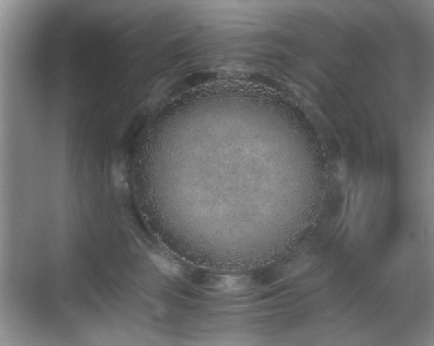 X0000069830663200605191141