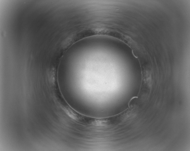 X0000069830664200605191141