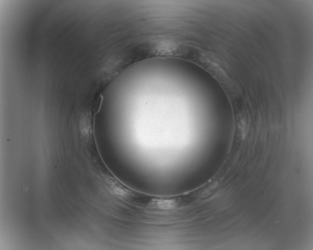 X0000069830665200605191141